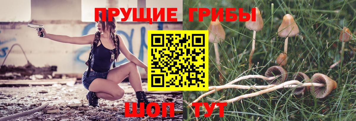 Прокопьевск  Псилоцибиновые грибы ЛСД  Вход с VPN 